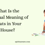 What Is the Spiritual Meaning of Gnats in Your House?