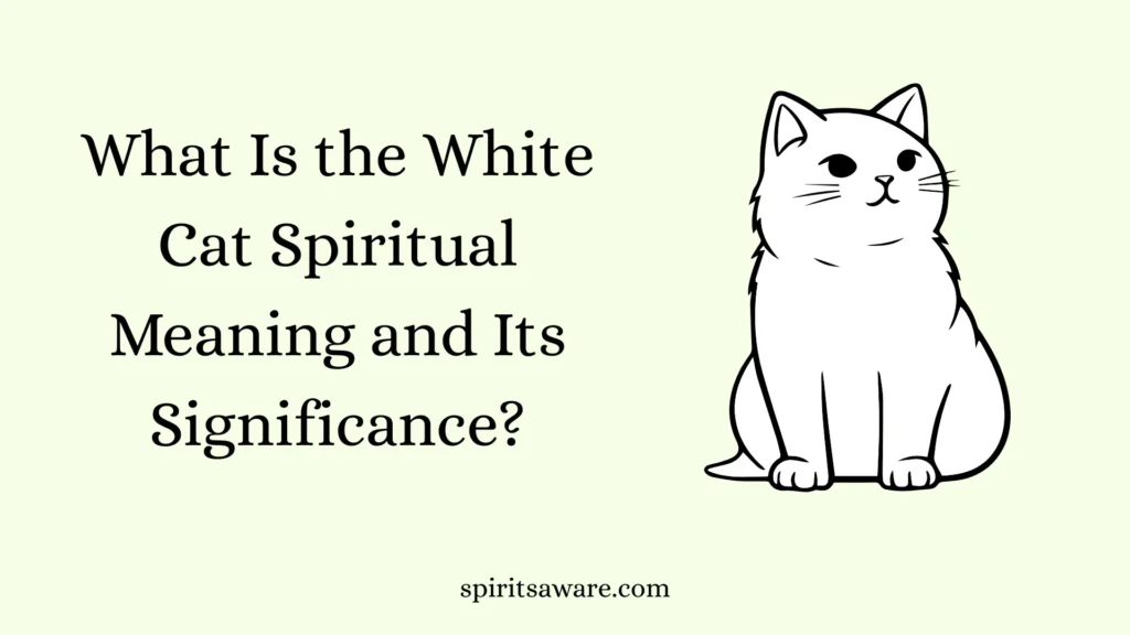 What Is the White Cat Spiritual Meaning and Its Significance?