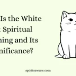 What Is the White Cat Spiritual Meaning and Its Significance?