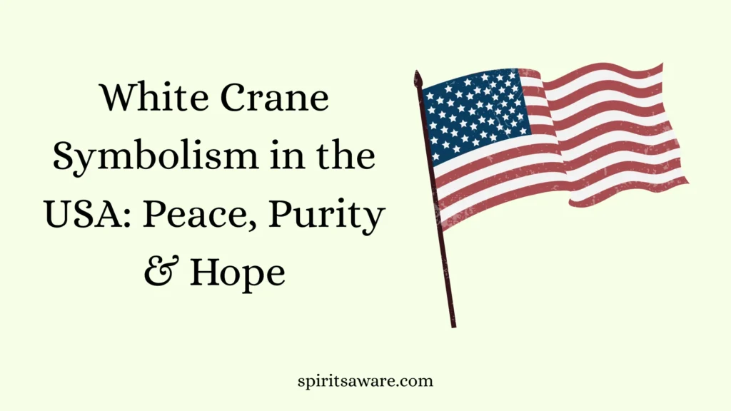 White Crane Symbolism in the USA