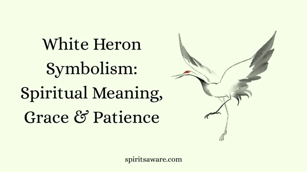 White Heron Symbolism
