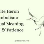 White Heron Symbolism