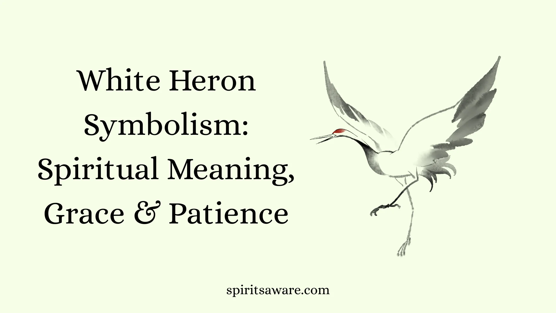 White Heron Symbolism