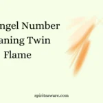355 Angel Number Meaning Twin Flame