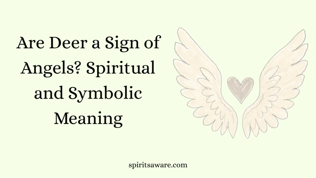 Are Deer a Sign of Angels? Spiritual and Symbolic Meaning