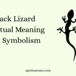 Black Lizard Spiritual Meaning and Symbolism