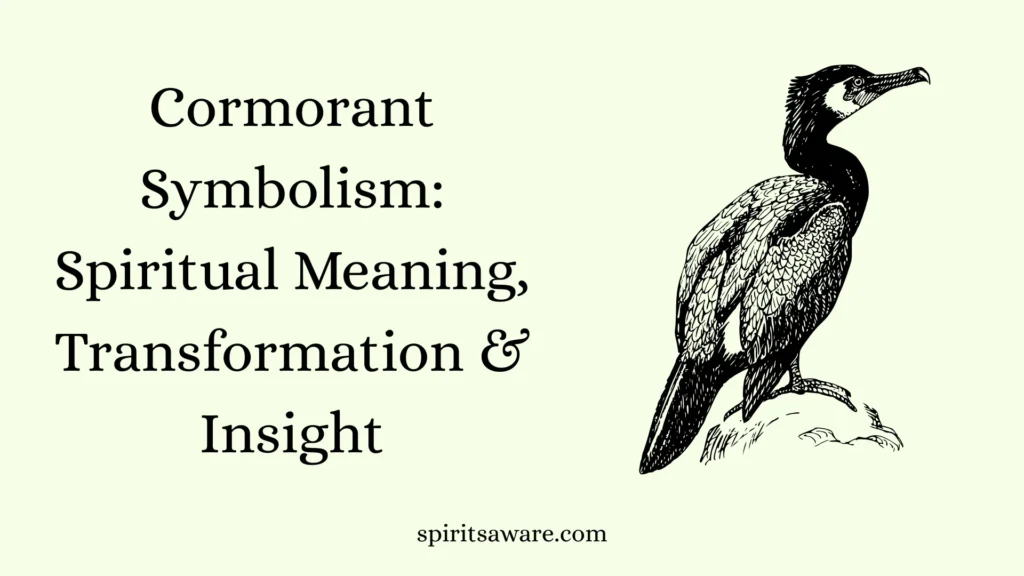 Cormorant Symbolism