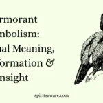 Cormorant Symbolism