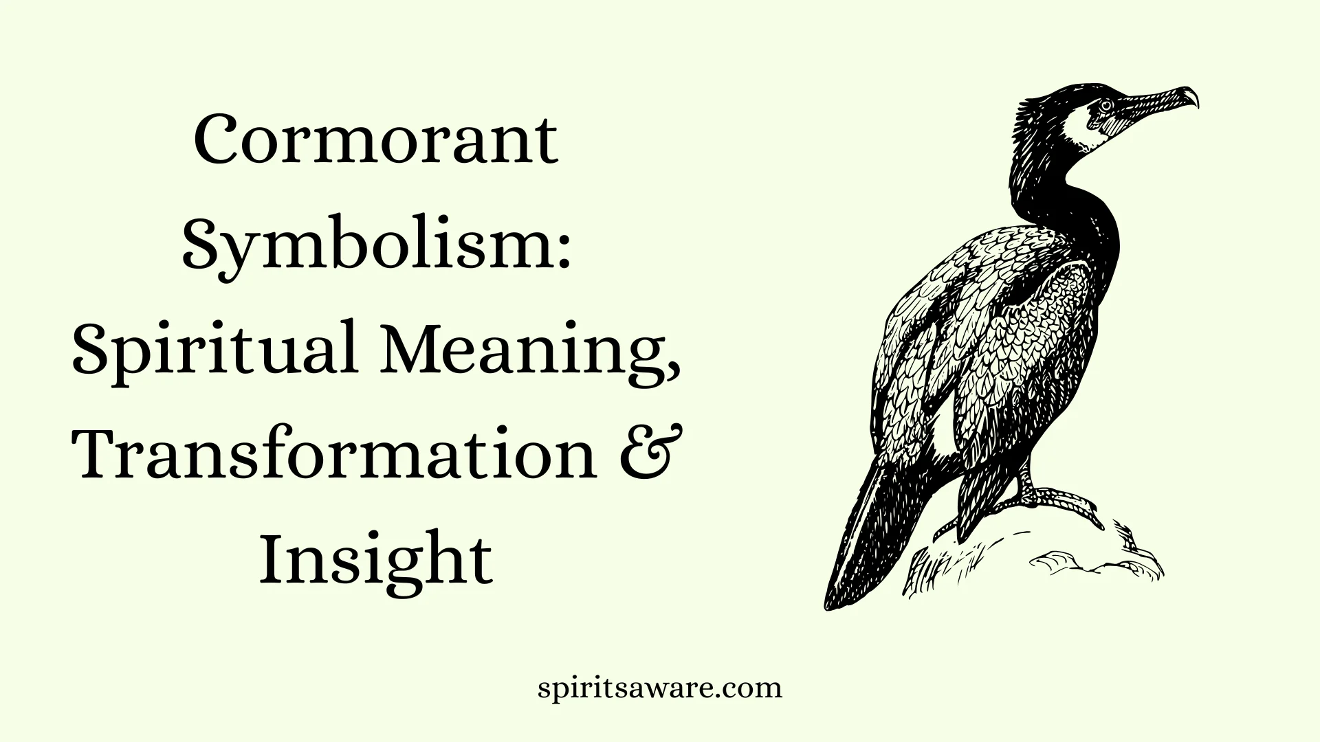 Cormorant Symbolism