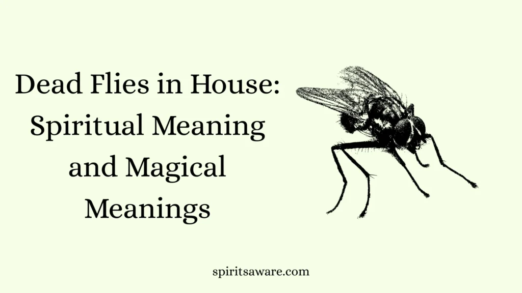 Dead Flies in House