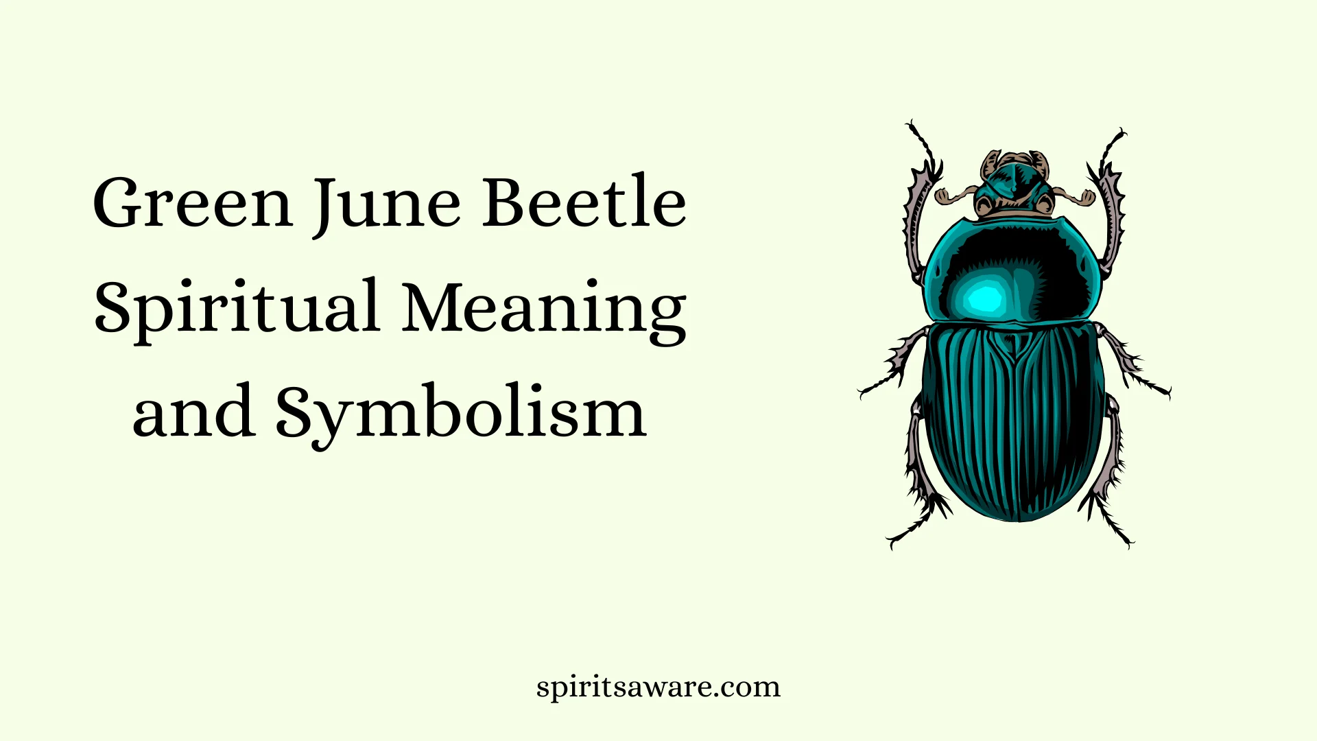 Green June Beetle Spiritual Meaning and Symbolism