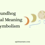 Groundhog Spiritual Meaning and Symbolism