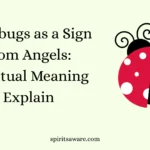 Ladybugs as a Sign from Angels
