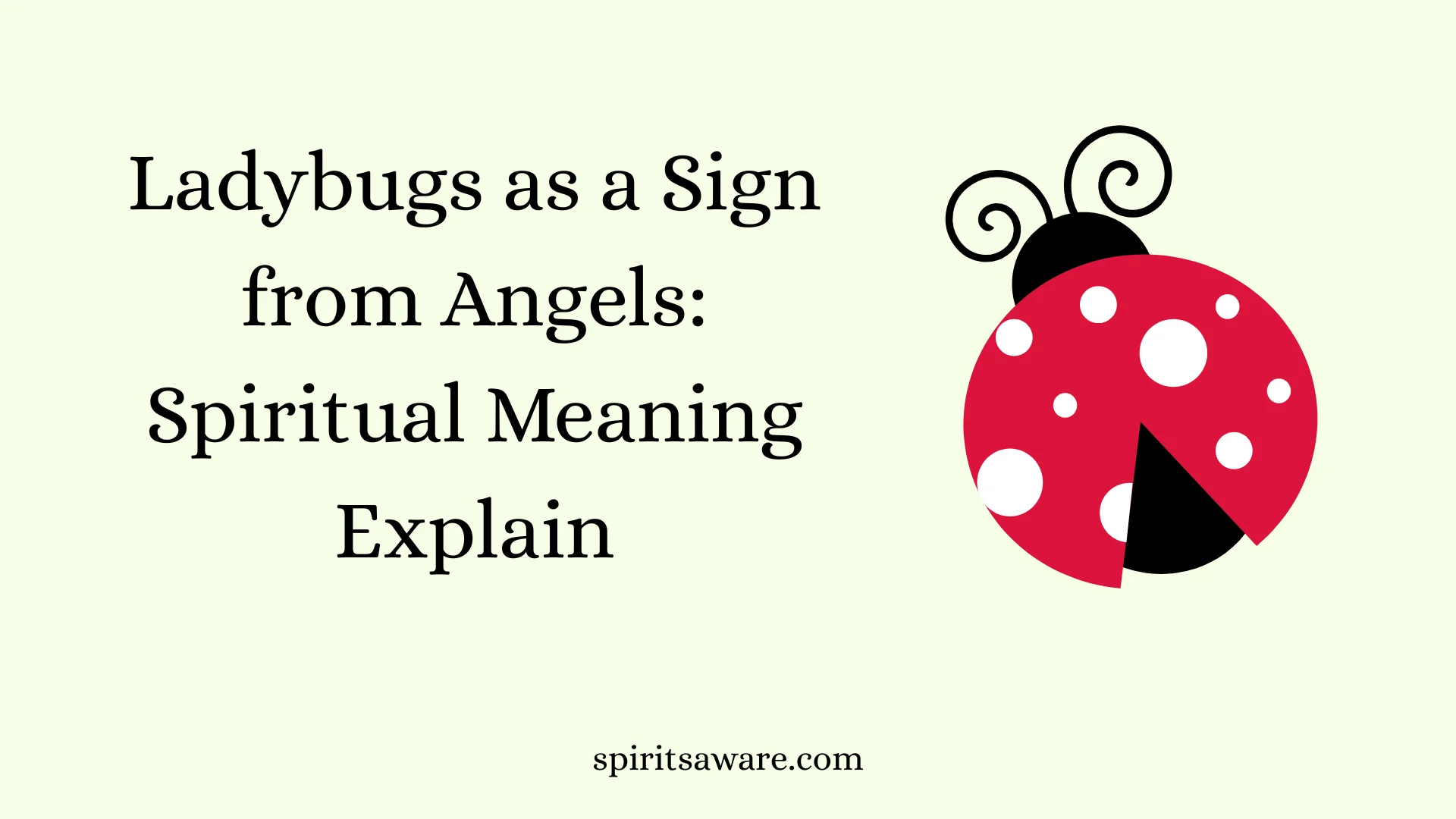 Ladybugs as a Sign from Angels