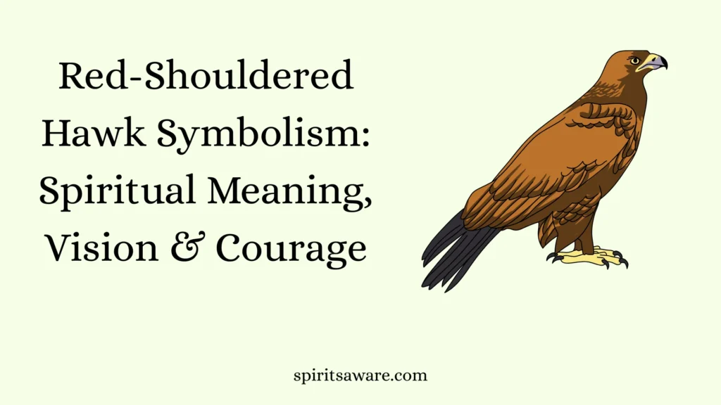 Red-Shouldered Hawk Symbolism