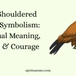 Red-Shouldered Hawk Symbolism