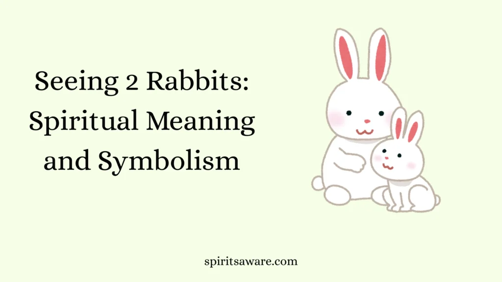 Seeing 2 Rabbits