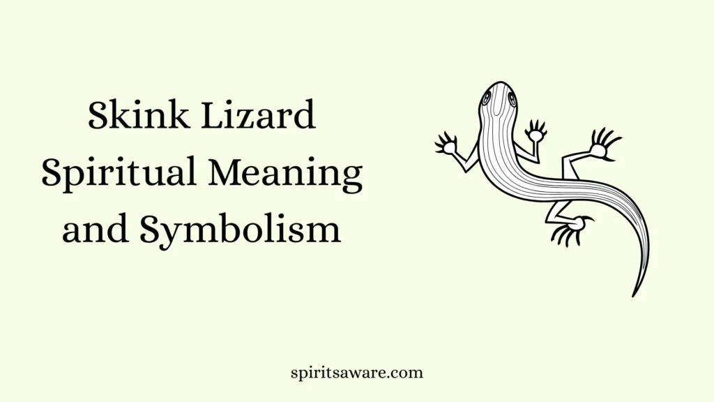 Skink Lizard Spiritual Meaning and Symbolism