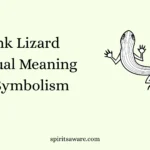 Skink Lizard Spiritual Meaning and Symbolism