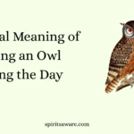 Spiritual Meaning of Seeing an Owl During the Day 
