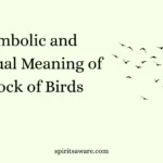 Symbolic and Spiritual Meaning of a Flock of Birds