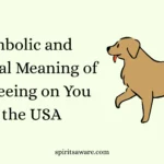 Symbolic and Spiritual Meaning of Dog Peeing on You in the USA