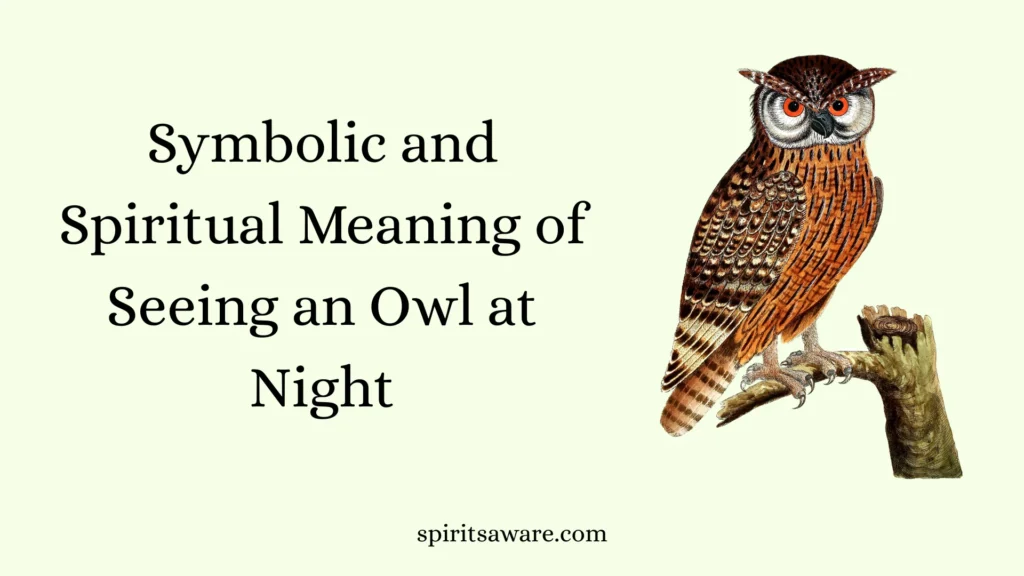 Symbolic and Spiritual Meaning of Seeing an Owl at Night
