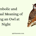 Symbolic and Spiritual Meaning of Seeing an Owl at Night