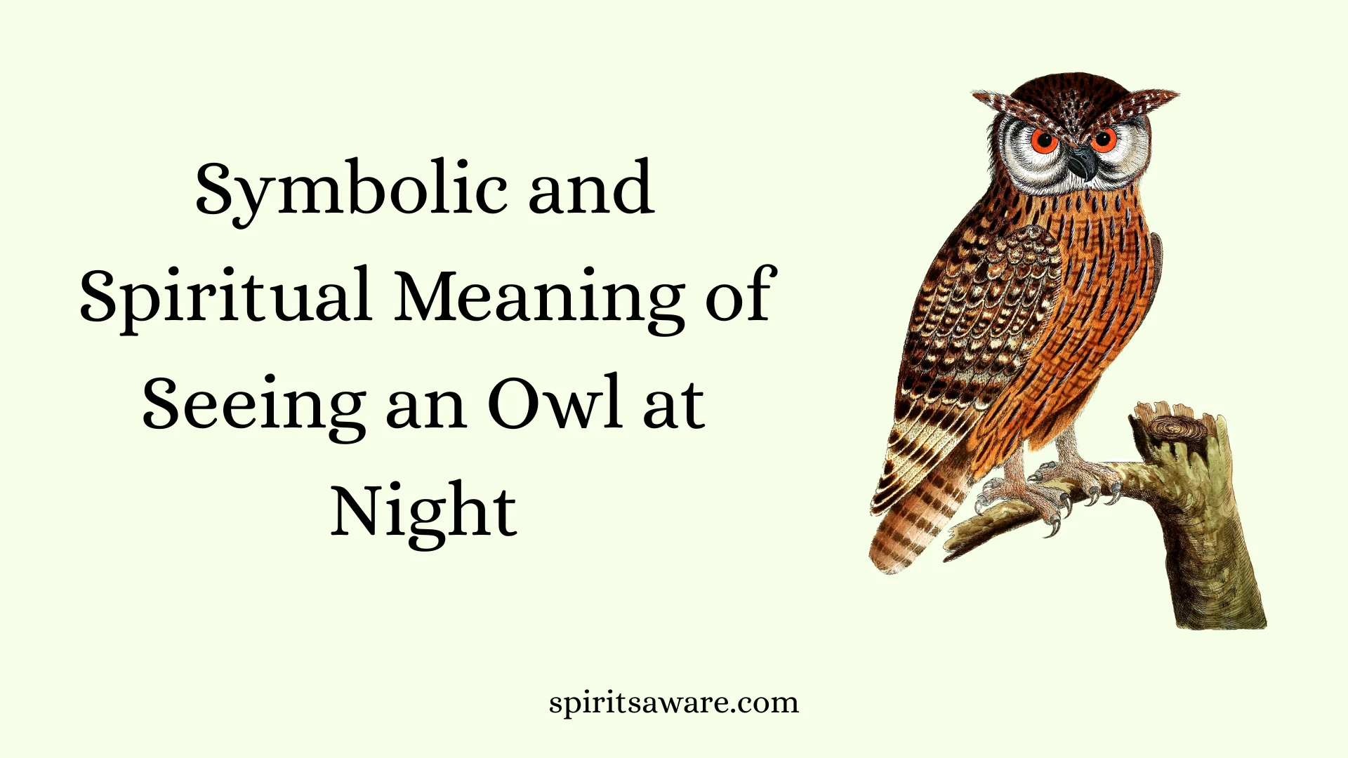 Symbolic and Spiritual Meaning of Seeing an Owl at Night