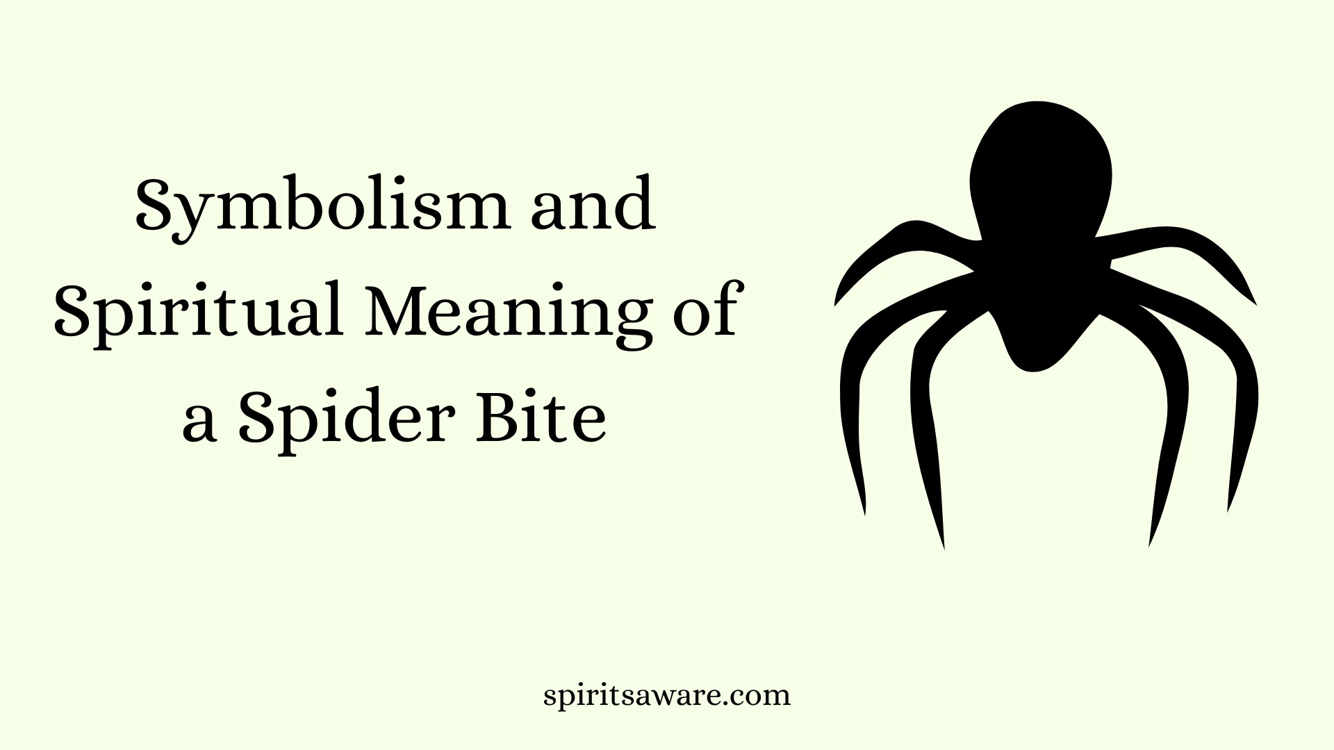Symbolism and Spiritual Meaning of a Spider Bite