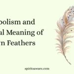 Symbolism and Spiritual Meaning of Brown Feathers