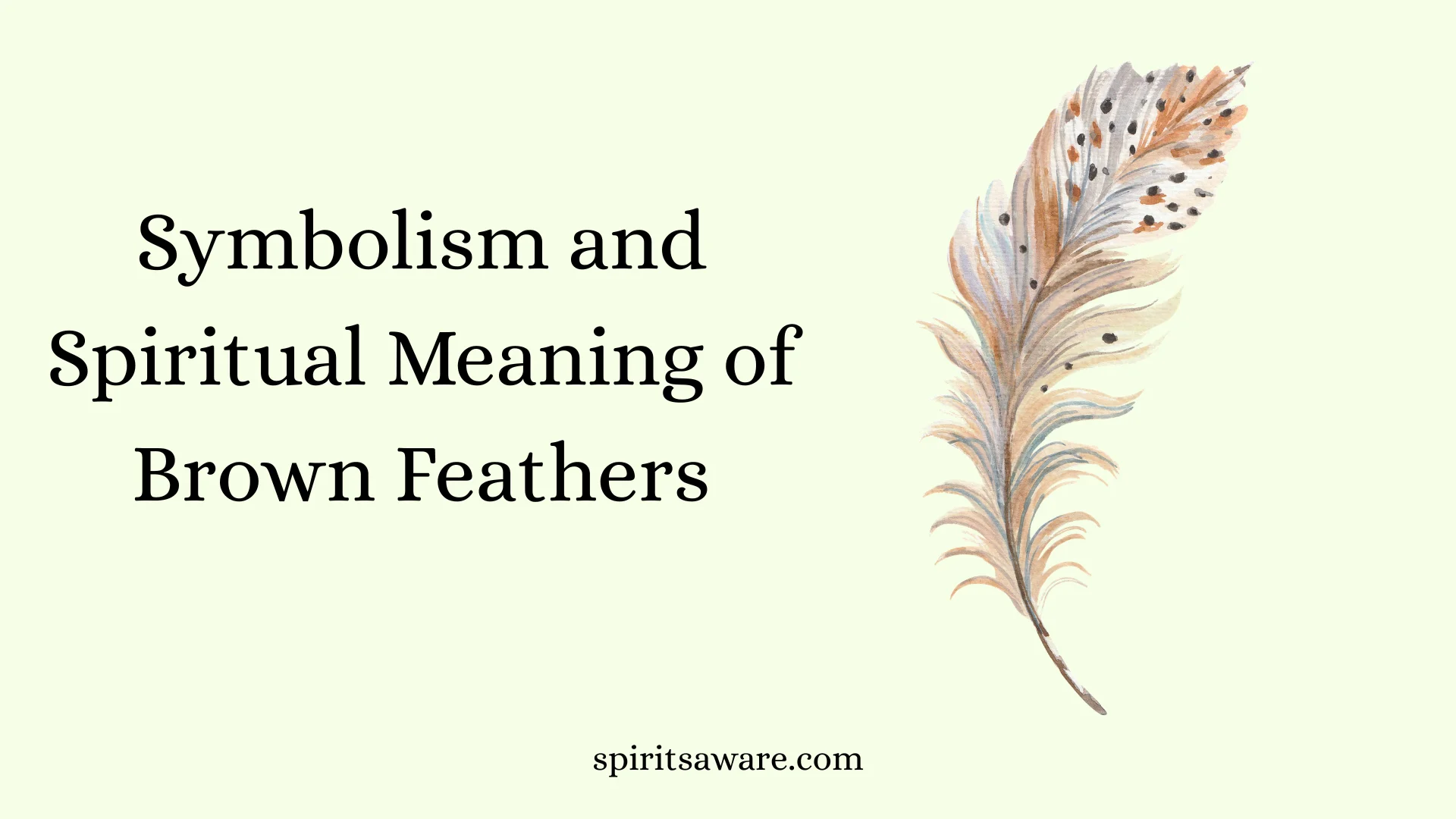 Symbolism and Spiritual Meaning of Brown Feathers