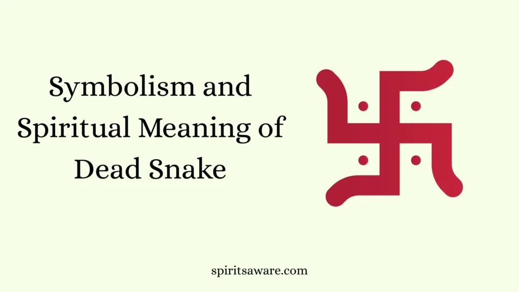 Symbolism and Spiritual Meaning of Dead Snake