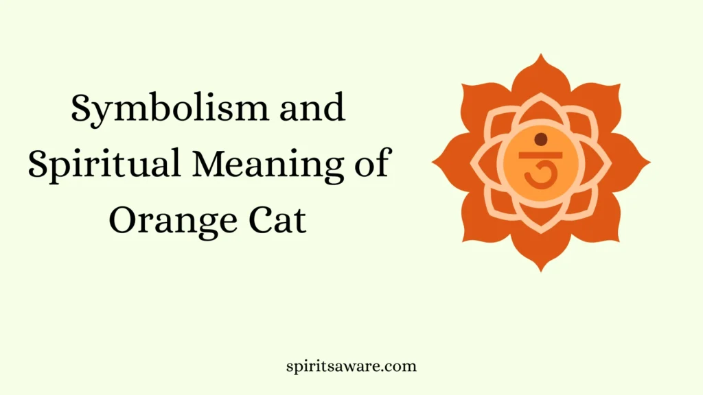 Symbolism and Spiritual Meaning of Orange Cat