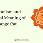 Symbolism and Spiritual Meaning of Orange Cat