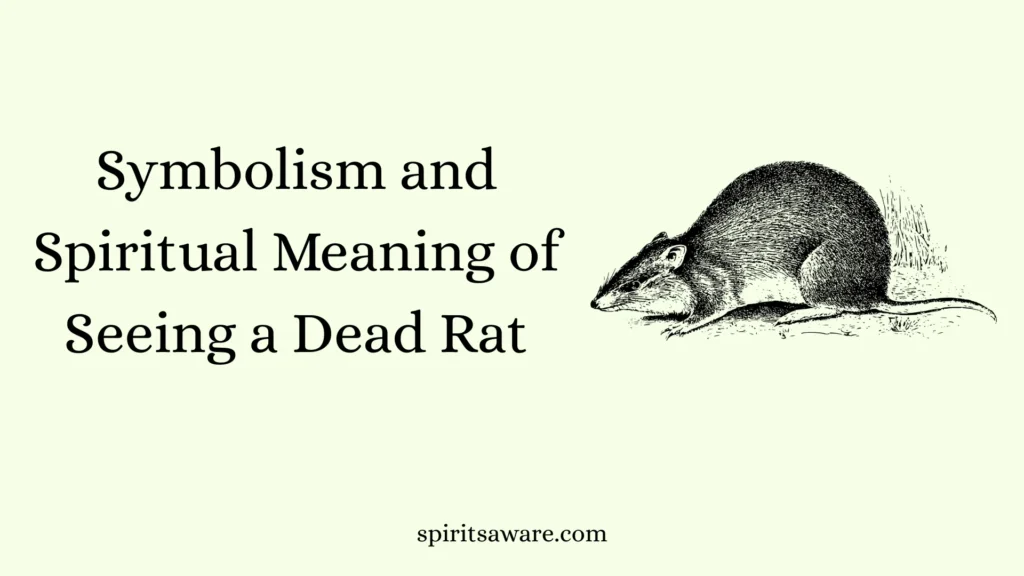 Symbolism and Spiritual Meaning of Seeing a Dead Rat