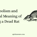 Symbolism and Spiritual Meaning of Seeing a Dead Rat