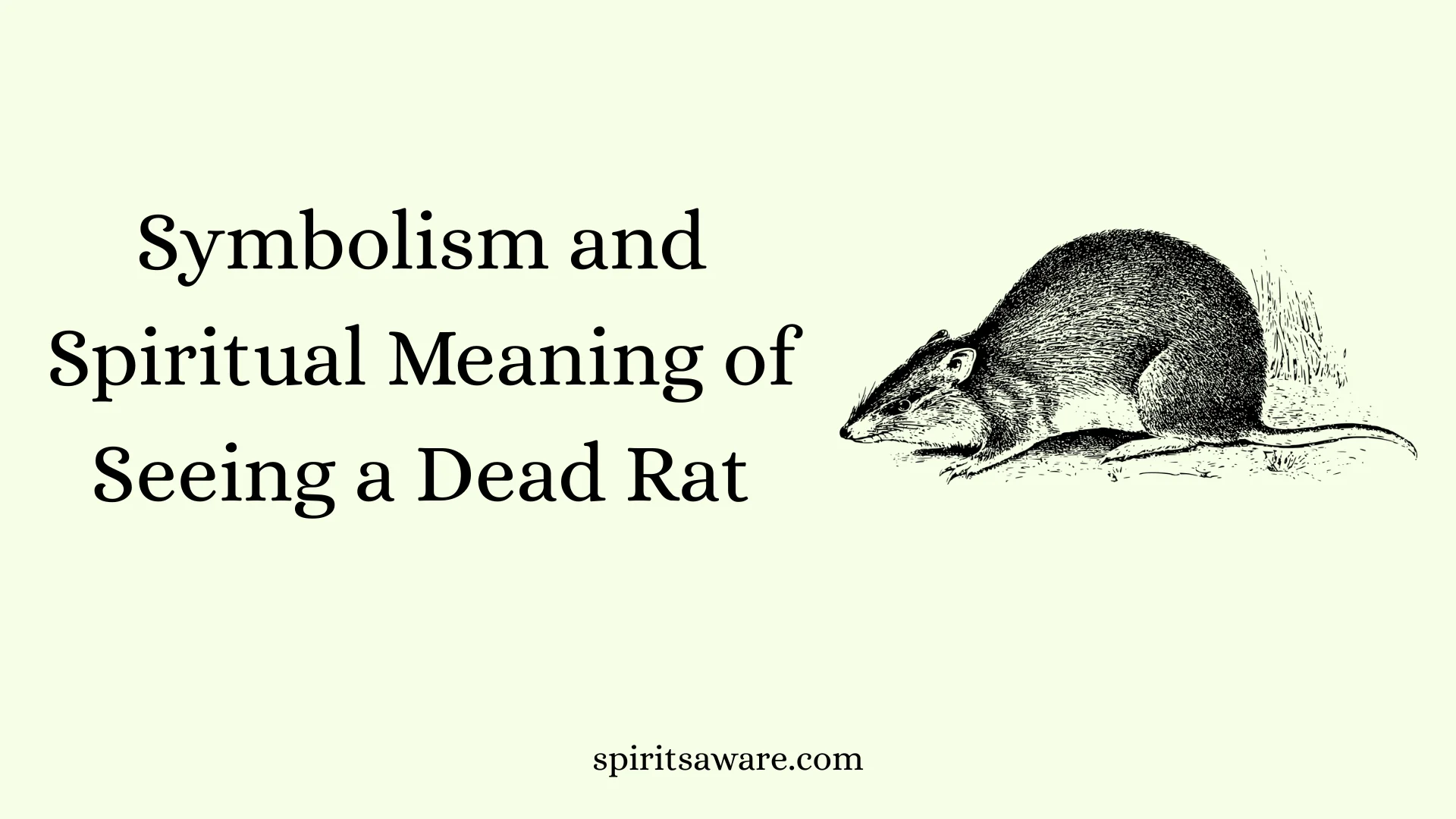 Symbolism and Spiritual Meaning of Seeing a Dead Rat