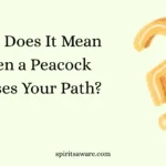 What Does It Mean When a Peacock Crosses Your Path?
