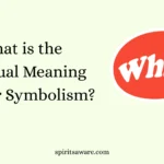 What is the Spiritual Meaning Feather Symbolism?