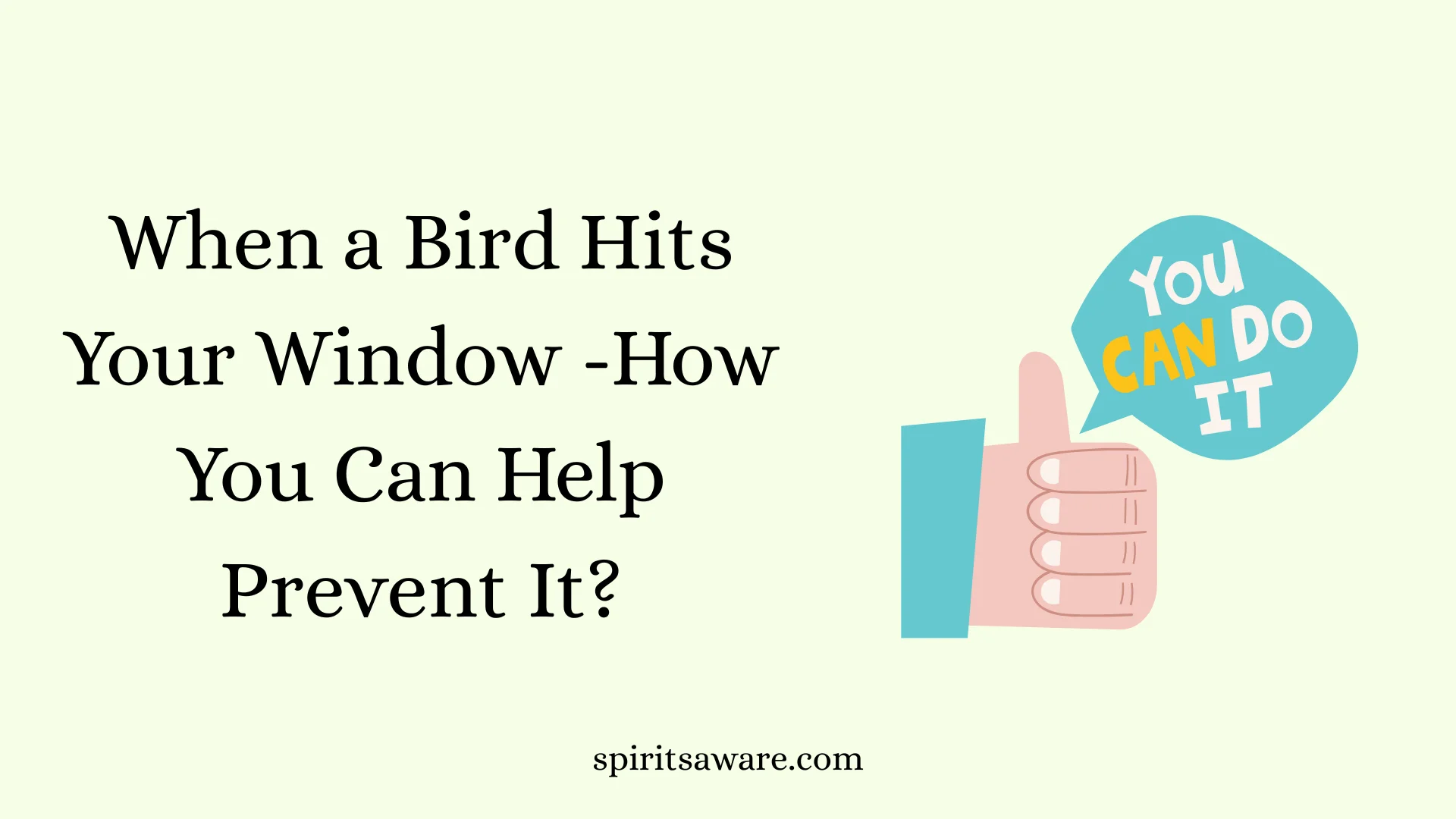 When a Bird Hits Your Window -How You Can Help Prevent It?