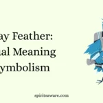 Blue Jay Feather: Spiritual Meaning and Symbolism