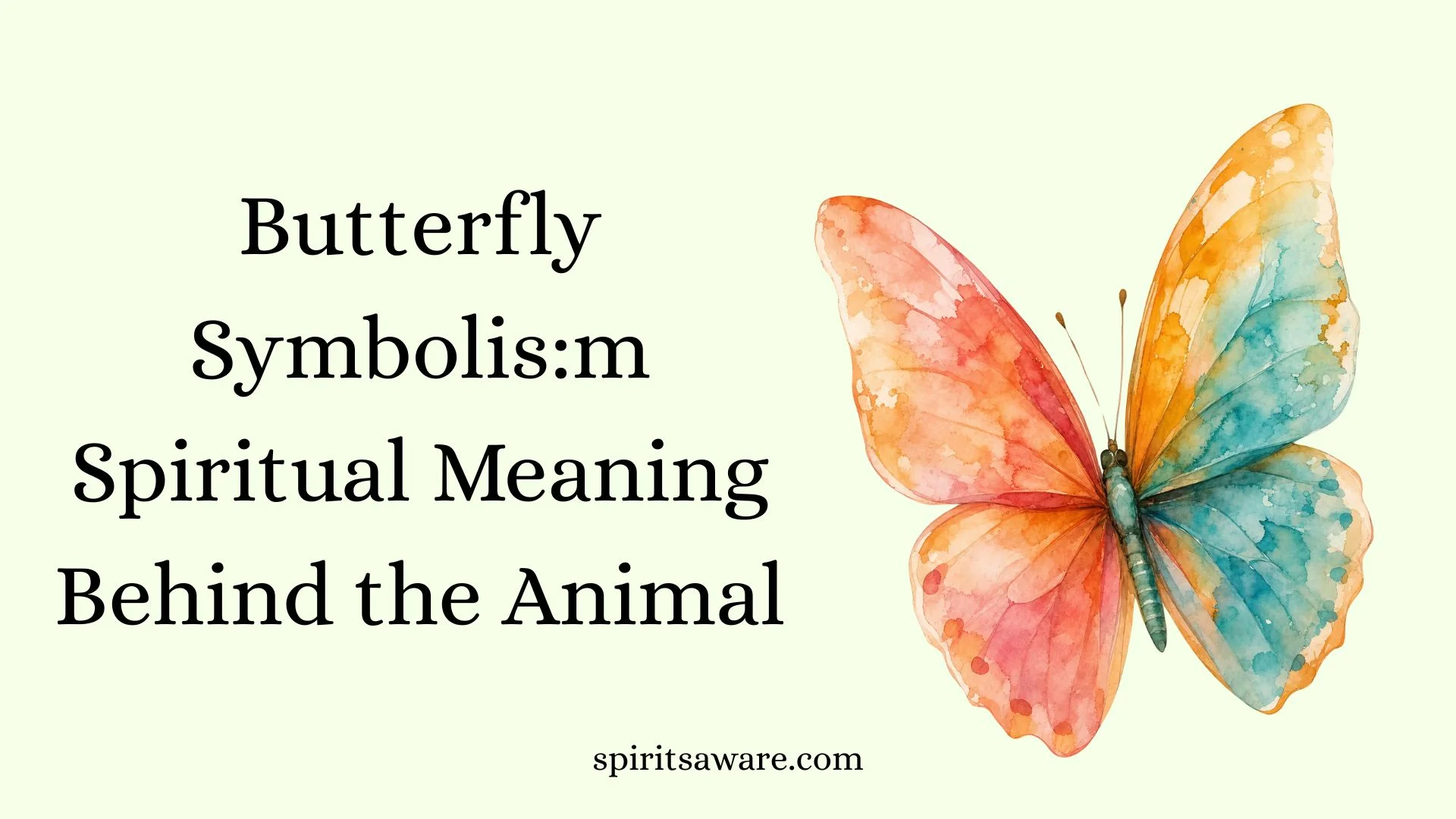 Butterfly Symbolis:m Spiritual Meaning Behind the Animal