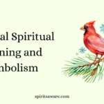 Cardinal Spiritual Meaning and Symbolism
