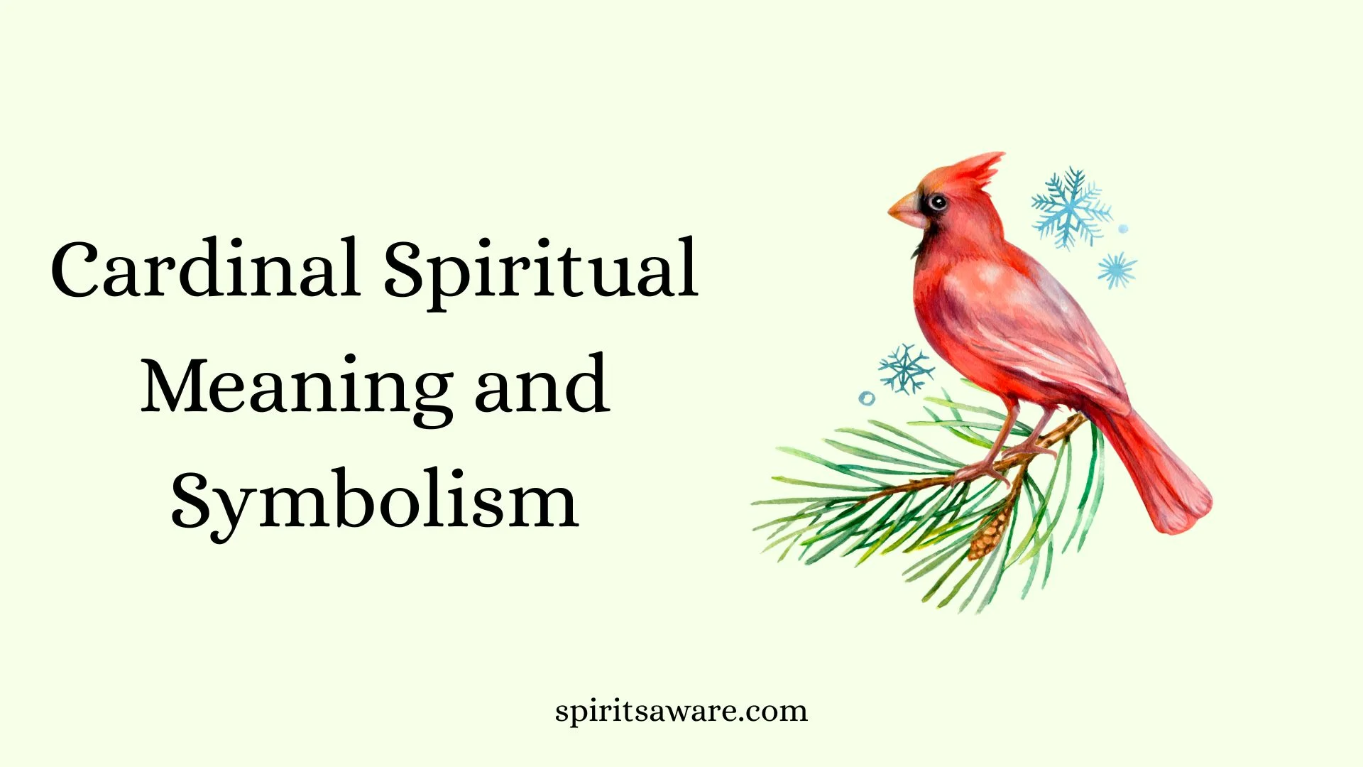Cardinal Spiritual Meaning and Symbolism