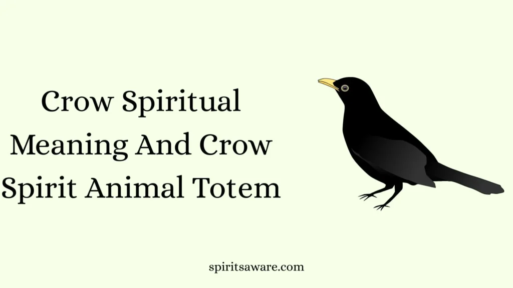 Crow Spiritual Meaning And Crow Spirit Animal Totem