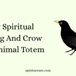 Crow Spiritual Meaning And Crow Spirit Animal Totem