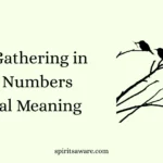 Crows Gathering in Large Numbers Spiritual Meaning