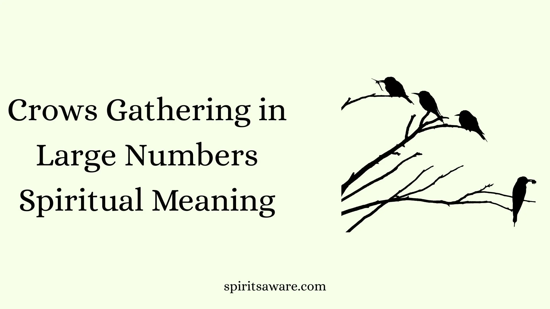 Crows Gathering in Large Numbers Spiritual Meaning
