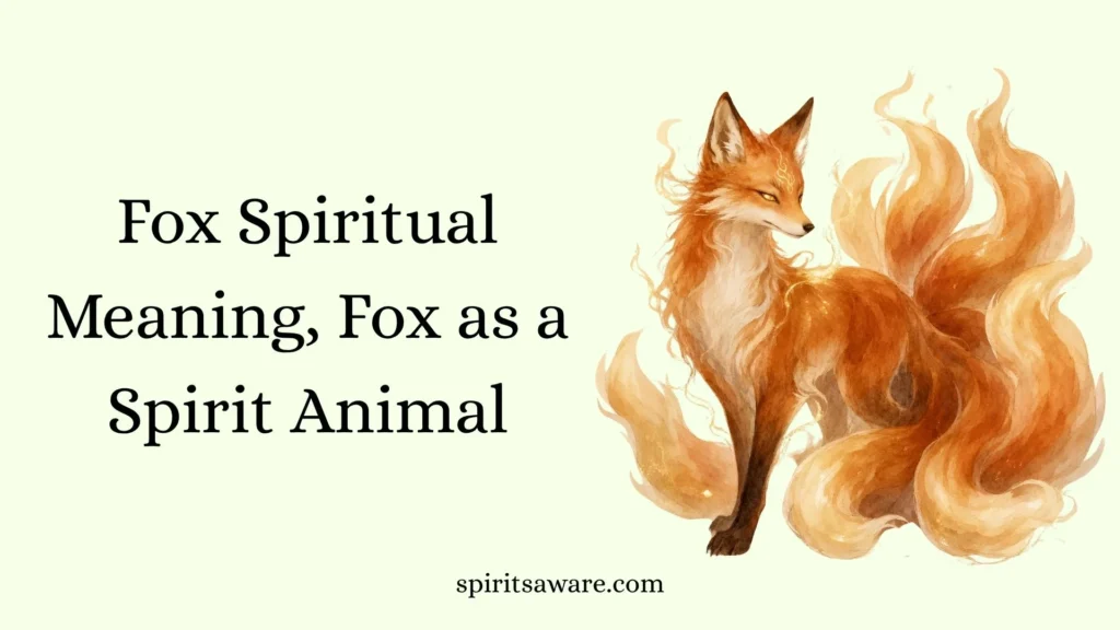 Fox Spiritual Meaning, Fox as a Spirit Animal